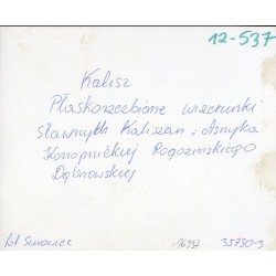 "Kalisz Płaskorzeźbione wizerunki sławnych Kaliszan: Asnyka Konopnickiej Rogozińskiego Dąbrowskiej fot. Surowiec 12-537 35730-3"