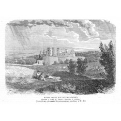 Widok zamku krzysztoporskiego. Rysował z natury W. Gerson drzeworyt J. Styfiego / "WIDOK ZAMKU KRZYSZTOPORSKIEGO. (Rysował z na