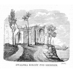 Zwaliska Kołoży pod Grodnem (2329) / "ZWALISKA KOŁOŻY POD GRODNEM. (2329)"