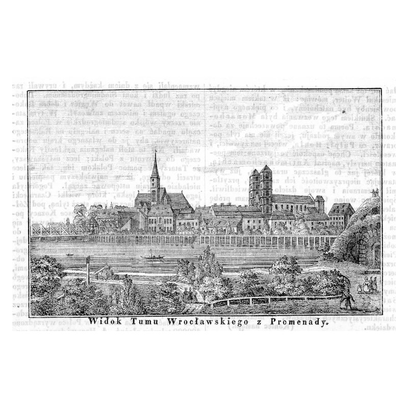 "Widok Tumu Wrocławskiego z Promenady."