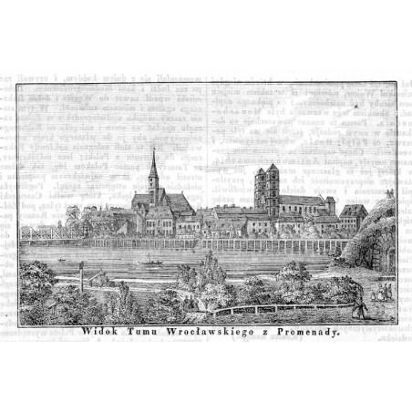 "Widok Tumu Wrocławskiego z Promenady."