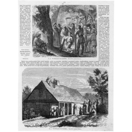 [1] "Nr. 1. WYZWOLINY NA PAROBKA. (Rysował z natury Gerson)." [2] "Nr. 2. WYZWOLINY NA PAROBKA. (Rysował z natury Gerson)."