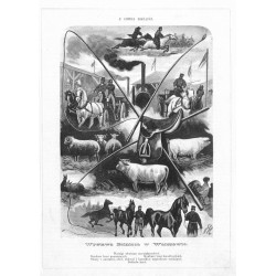 "Wystawa Rolnicza w Warszawie. Wyścigi włościan czerniakowskich. Konkurs koni powozowych. Konkurs koni dorożkarskich. Okazy z ow