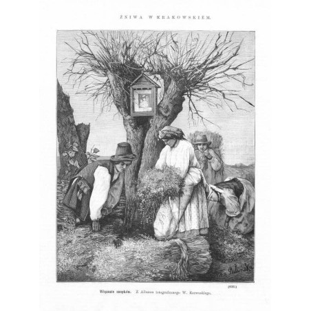 "Wiązanie snopków. Z Albumu fotograficznego W. Rzewuskiego. (6031)"