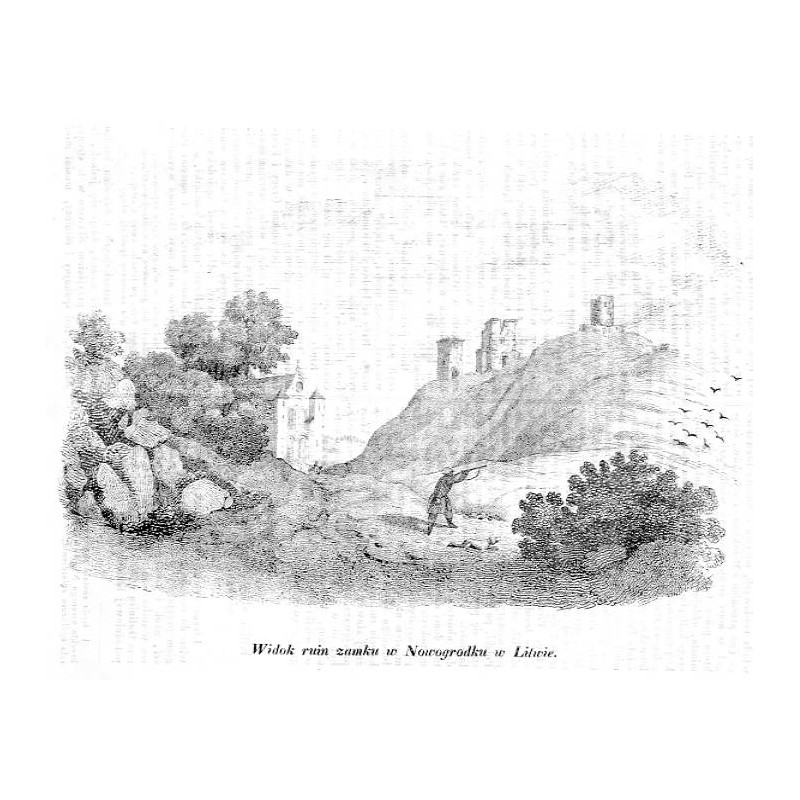 "Widok ruin zamku w Nowogrodku w Litwie."