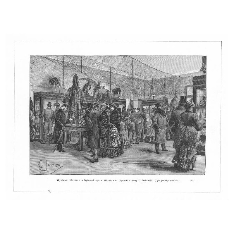 "Wystawa zbiorów dra Dybowskiego w Warszawie. Rysował z natury C. Jankowski. [...] (321)"