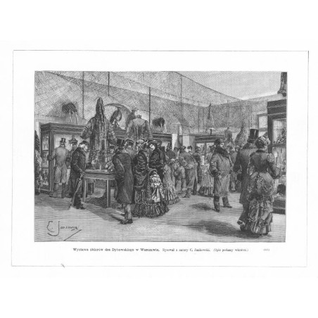 "Wystawa zbiorów dra Dybowskiego w Warszawie. Rysował z natury C. Jankowski. [...] (321)"