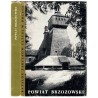 Katalog zabytków sztuki w Polsce. T. 13: Województwo rzeszowskie. Z. 2: Powiat brzozowski / Brzozów i powiat