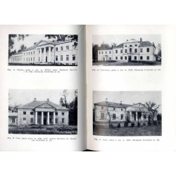 Katalog zabytków sztuki w Polsce. T. 10: Województwo warszawskie. Z. 21: Powiat rycki / Ryki i powiat