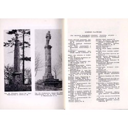 Katalog zabytków sztuki w Polsce. T. 11: Dawne województwo bydgoskie. Z. 20: Wyrzysk, Nakło i okolice