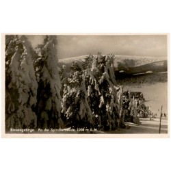 Riesengebirge. An der Spindlerbaude, 1208 m ü. M.