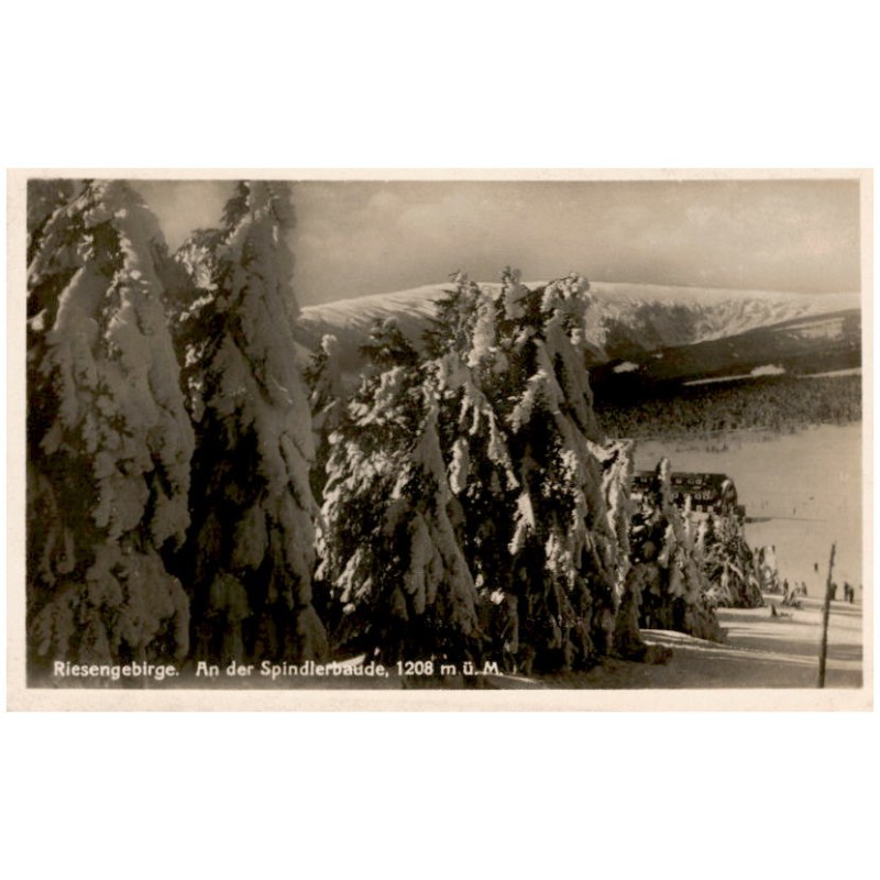 Riesengebirge. An der Spindlerbaude, 1208 m ü. M.