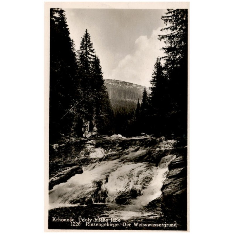 Krkonoše. Údoly bílého labe. 1228. Riesengebirge. Der Weisswassergrund