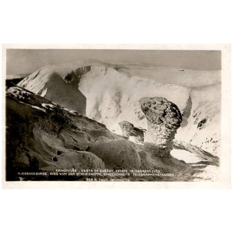 Krkonoše: Cesta se Sněžky, zaváté telegrafní tyče. Riesengebirge: Weg von Schneekoppe, eingeschneite Telegraphenstangen. 258