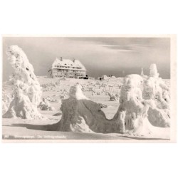 382. Riesengebirge. Die Reifträgerbaude.