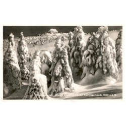 Riesengebirge. Blick v. Steindelberg auf Reifträgerbaude 1360 m ü. M.