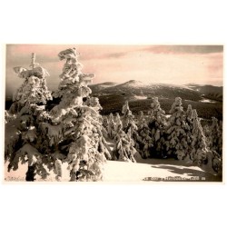 1192. Riesengebirge. An der Peterbaude 1288 m