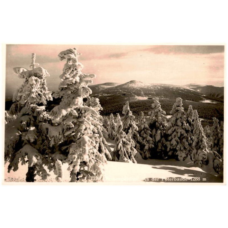 1192. Riesengebirge. An der Peterbaude 1288 m