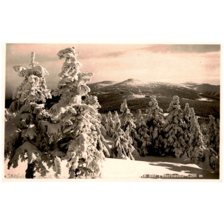 1192. Riesengebirge. An der Peterbaude 1288 m