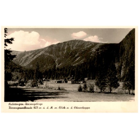 Sudetengau-Riesengebirge. Riesengrundbaude 923 m ü. d. M. m. Blick n. d. Schneekoppe. 51981
