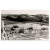 1411. Krkonoše - Daftovy boudy. Riesengebirge - Die Daftebauden
