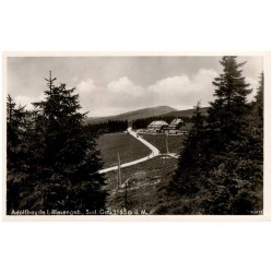 Adolfbaude i. Riesengeb., Sud. Gau. 1165 m ü. M. 52911