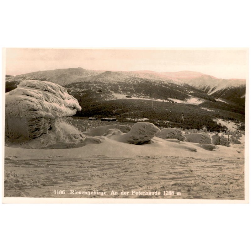 1186 Riesengebirge. An der Peterbaude 1288 m