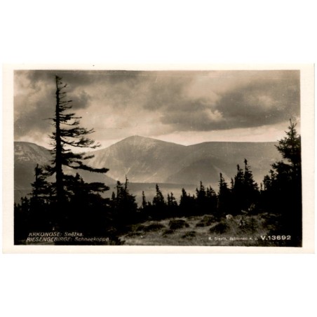Krkonoše: Sněžka. Riesengebirge: Schneekoppe. V. 13692