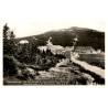 Riesengebirge. Am Spindlerpaß m. Jugendkammhaus Rübezahl, Spindlerbaude u. Kl. Sturmhaube 1436 m ü. M.