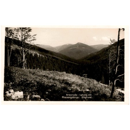 Krkonoše: Labský důl. Riesengebirge: Elbgrund. 112