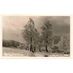 Krkonoše: Zimní pohádka. Riesengebirge: Wintermärchen. 25762