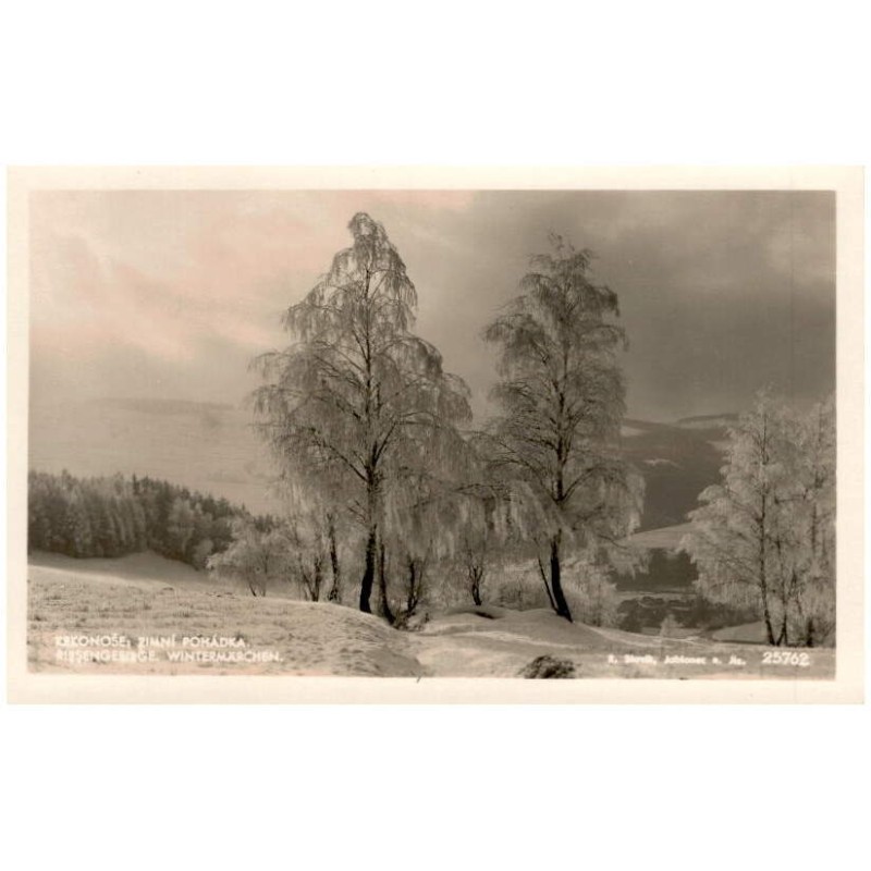 Krkonoše: Zimní pohádka. Riesengebirge: Wintermärchen. 25762