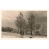Krkonoše: Zimní pohádka. Riesengebirge: Wintermärchen. 25762