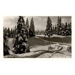 Krkonoše: Zimní pohádka. Riesengebirge: Wintermärchen. 26043