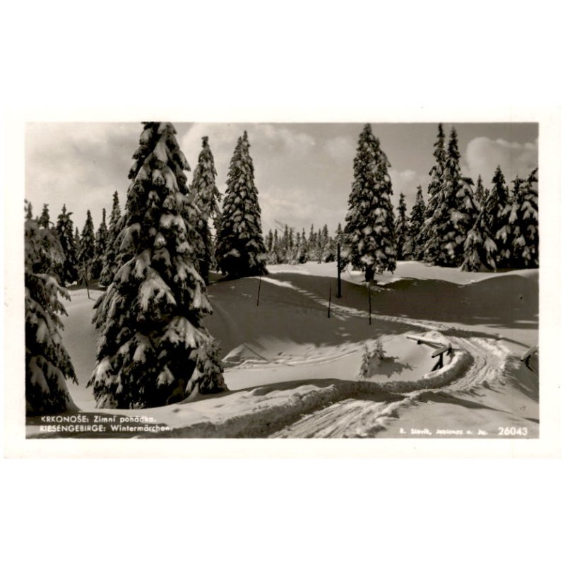 Krkonoše: Zimní pohádka. Riesengebirge: Wintermärchen. 26043