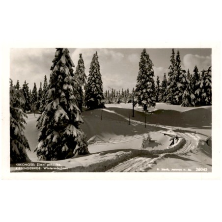 Krkonoše: Zimní pohádka. Riesengebirge: Wintermärchen. 26043