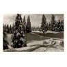 Krkonoše: Zimní pohádka. Riesengebirge: Wintermärchen. 26043