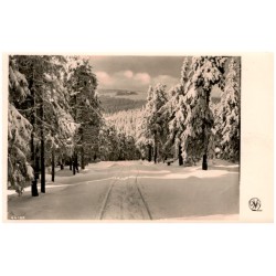 44189 / Rewers: Bild 4: Blick nach der Peter-Baude