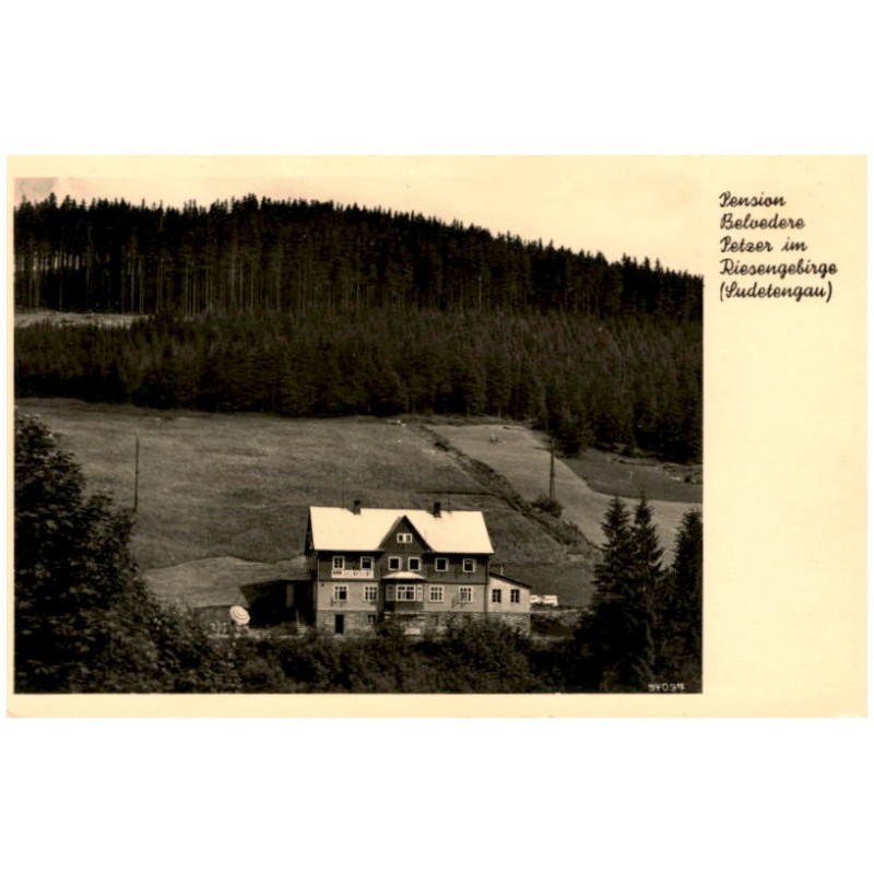 Pension Belvedere Petzer im Riesengebirge (Sudetengau) 54037