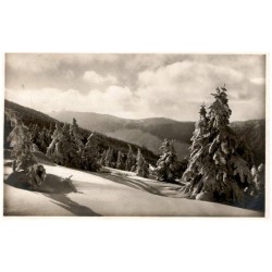 Riesengebirge. Winterwald unter der kleinen Sturmhaube Lichtbild von Karl Streer. Nr. 1058