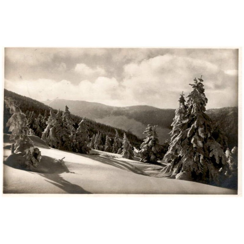 Riesengebirge. Winterwald unter der kleinen Sturmhaube Lichtbild von Karl Streer. Nr. 1058