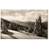 Riesengebirge. Winterwald unter der kleinen Sturmhaube Lichtbild von Karl Streer. Nr. 1058