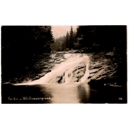 Partie im Weißwassergrund. 110.