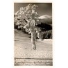 Vereister Baum blick nach der Schneekoppe.