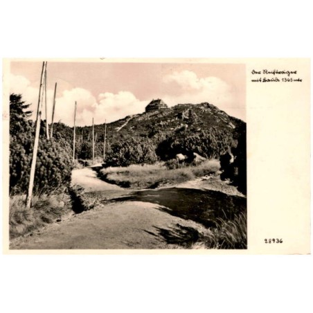 Der Reifträger mit Baude 1365 mtr 28936