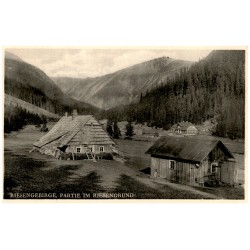 Riesengebirge, Partie im Riesengrund