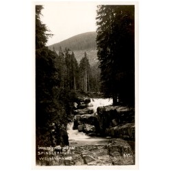 Špindlerův Mlýn. Bílé Labe Spindlermühle Weisswasser 551.