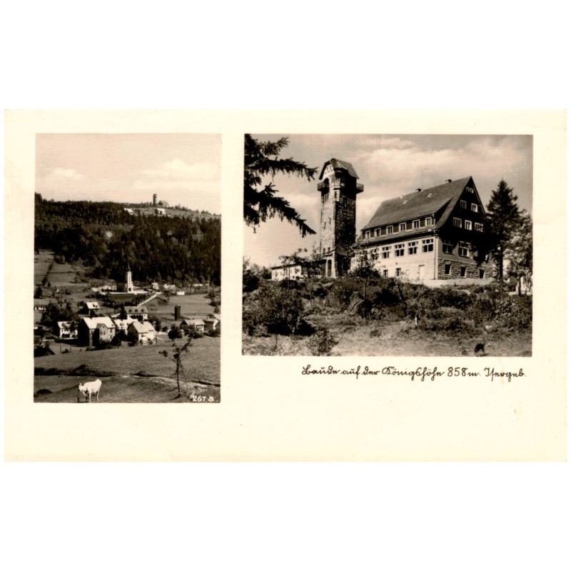 Baude auf der Königshöhe 858 m. Isergeb. 267a / Rewers: Baude auf der Königshöhe, 858 m bei Friedrichswald im Isergebirge. Beste