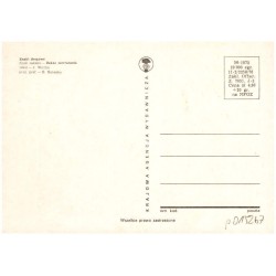 Dotyczy również głowy. Butenko pinxit / Rewers: Znaki drogowe. Znak zakazu - Zakaz zawracania. Tekst - J. Wittlin, proj. graf. -