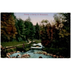 Ścieżka z Czerny do Krzeszowic